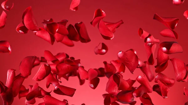 Freeze motion of flying rose petals. — Stock Photo, Image