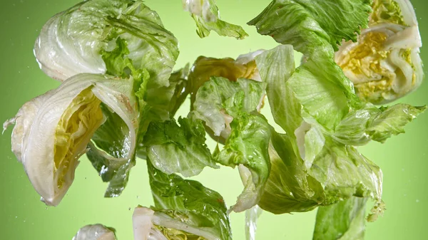 Flying fresh harvested lettuce on green background — Stock Photo, Image