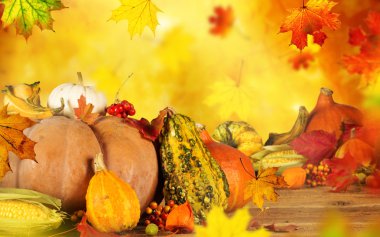 güzel sonbahar arka plan