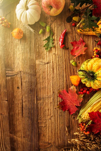 Beautiful autumn background — Stock Photo, Image