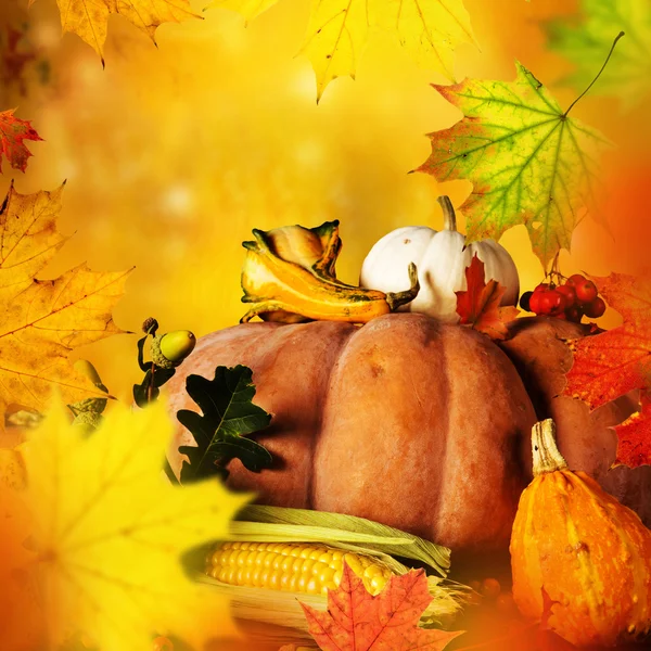 Mooie herfst achtergrond — Stockfoto