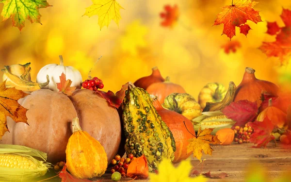 Beautiful autumn background — Stock Photo, Image