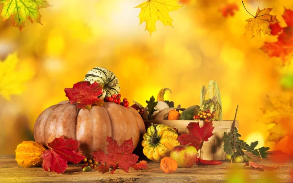 Beautiful autumn background — Stock Photo, Image