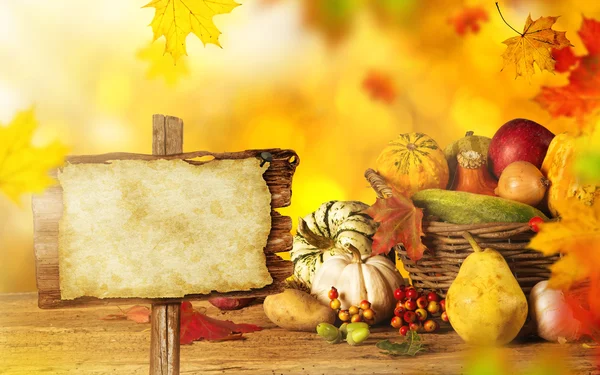 Beautiful autumn background — Stock Photo, Image