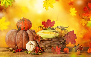 güzel sonbahar arka plan