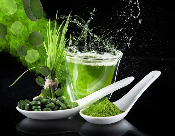 Genç arpa ve chlorella spirulina. — Stok fotoğraf