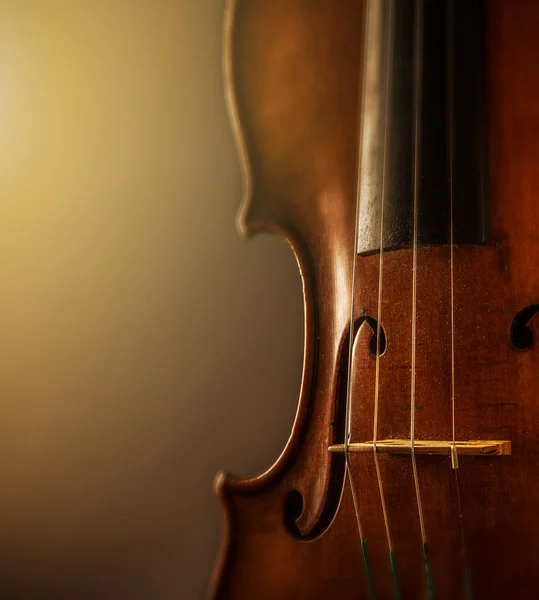 Violino em estilo vintage — Fotografia de Stock