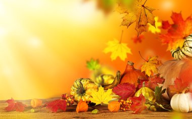 güzel sonbahar arka plan