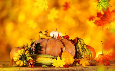 güzel sonbahar arka plan