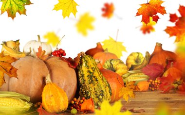 güzel sonbahar arka plan