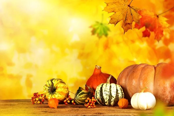 Beautiful autumn background — Stock Photo, Image