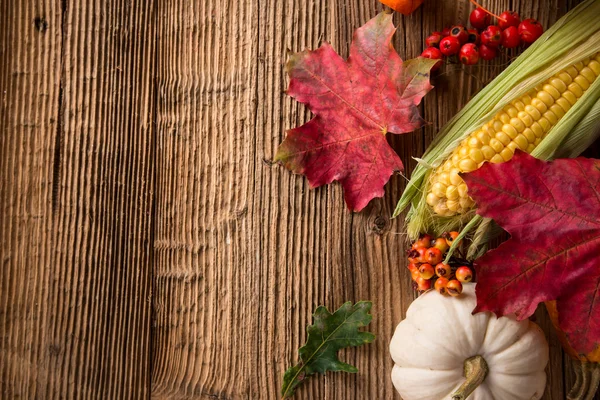 Beautiful autumn background — Stock Photo, Image