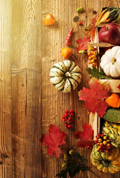 Beautiful autumn background — Stock Photo, Image