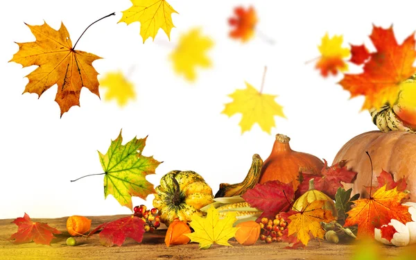 Bellissimo sfondo autunno — Foto Stock