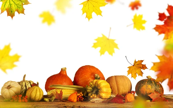 Krásné podzimní pozadí — Stock fotografie