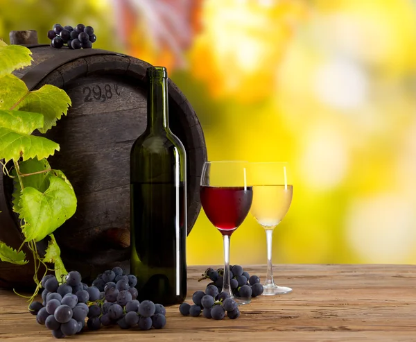 Wine still-life — Stock Photo, Image