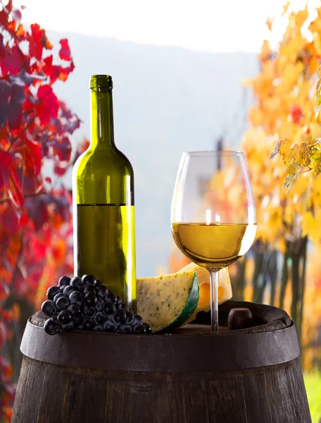 Wine still-life — Stock Photo, Image