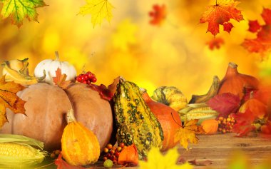 güzel sonbahar arka plan