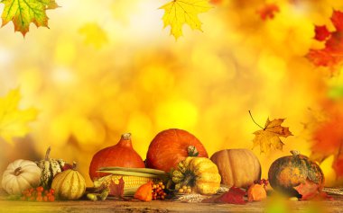 güzel sonbahar arka plan