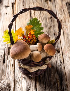 Ceps ahşap tablo