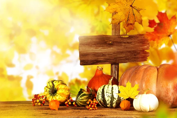 Beautiful autumn background — Stock Photo, Image