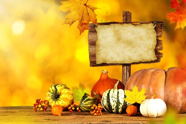 Beautiful autumn background — Stock Photo, Image