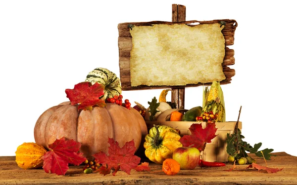 Beautiful autumn background — Stock Photo, Image