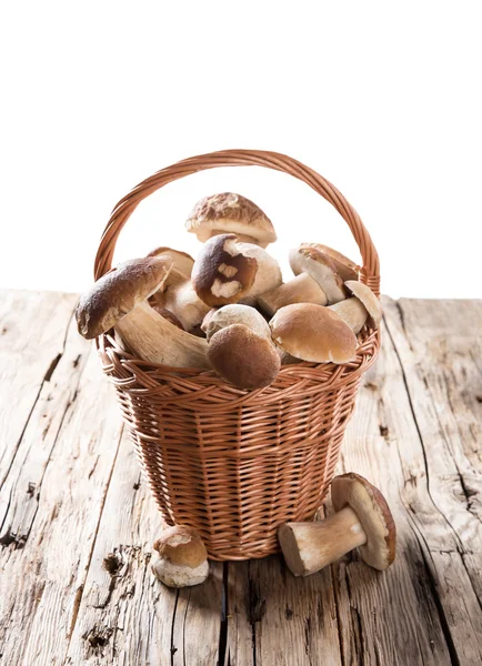 Ceps na mesa de madeira — Fotografia de Stock