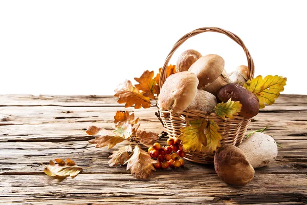 Ceps sur table en bois — Photo