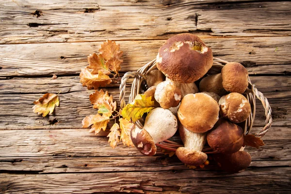 Ceps na mesa de madeira — Fotografia de Stock