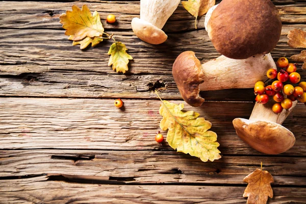 Ceps on wooden table — Stock Photo, Image