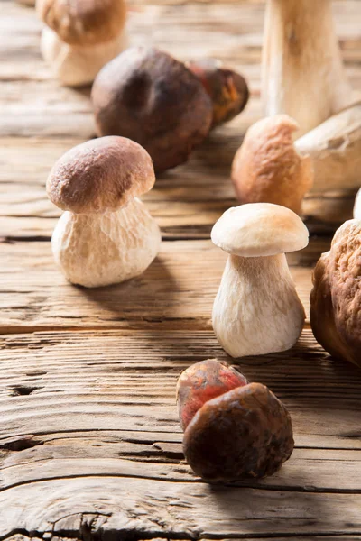 Ceps na mesa de madeira — Fotografia de Stock