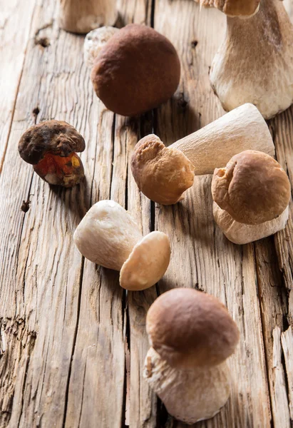 Ceps na mesa de madeira — Fotografia de Stock