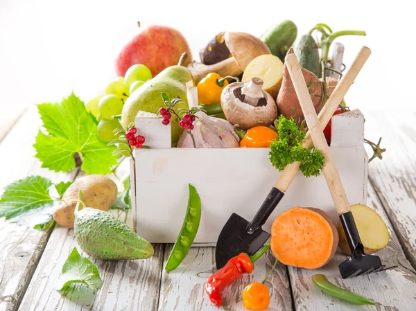 Gesundes Bio-Gemüse auf Holztisch — Stockfoto