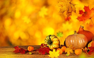 güzel sonbahar arka plan