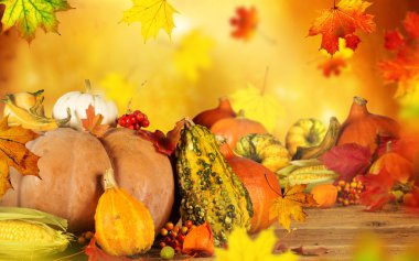 güzel sonbahar arka plan