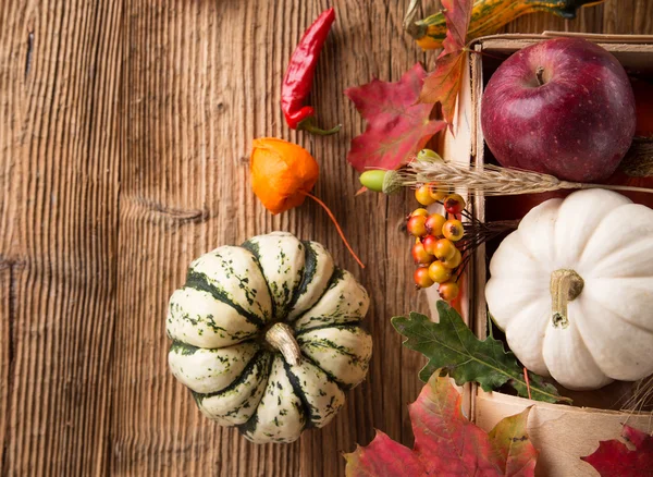 Mooie herfst achtergrond — Stockfoto