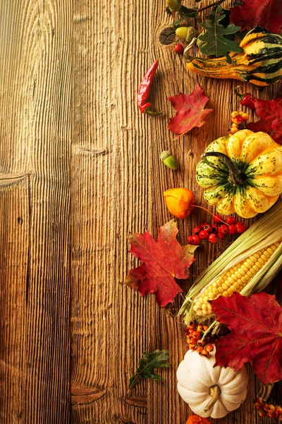 Beautiful autumn background — Stock Photo, Image