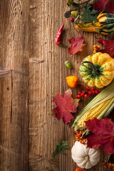 Beautiful autumn background — Stock Photo, Image