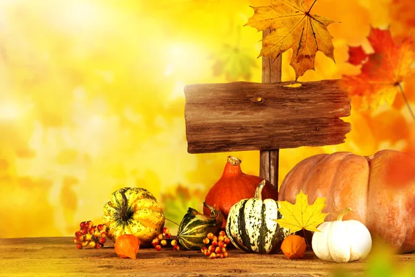 Hermoso fondo de otoño — Foto de Stock