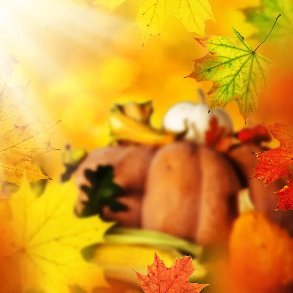 Hermoso fondo de otoño —  Fotos de Stock