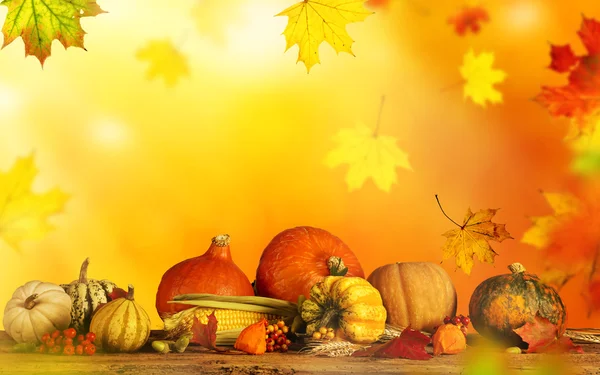 美しい秋の背景 — ストック写真