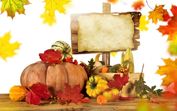 Beautiful autumn background — Stock Photo, Image