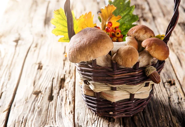 Белые грибы на деревянном столе — стоковое фото