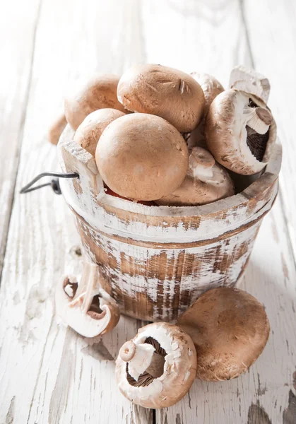 Fresh mushrooms — Stock Photo, Image