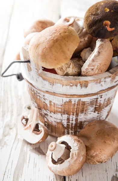 Čerstvé houby — Stock fotografie