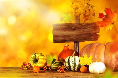 güzel sonbahar arka plan