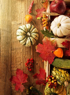 güzel sonbahar arka plan