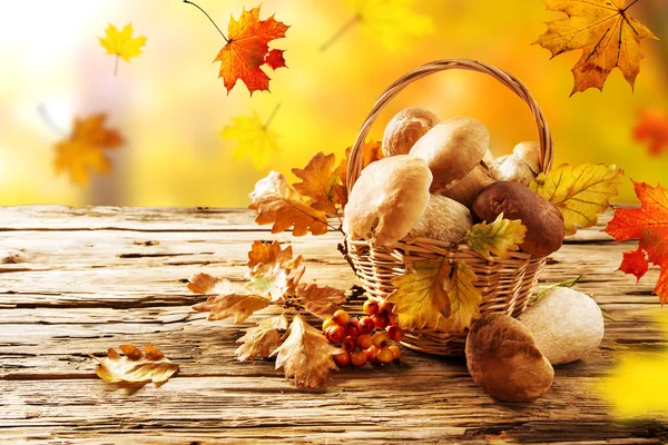 Ceps on wooden table — Stock Photo, Image