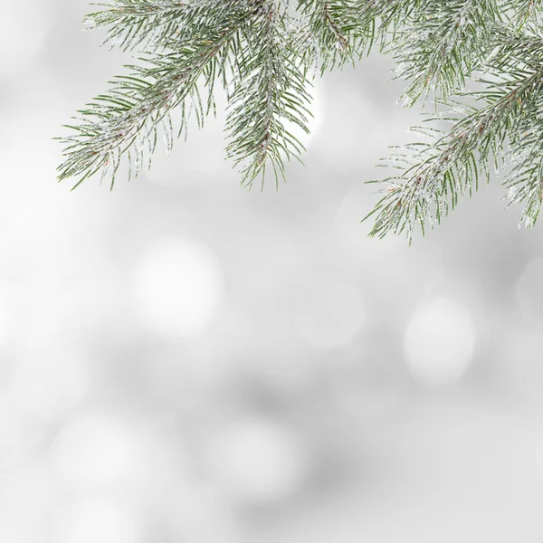 Abstrakter weihnachtlicher Hintergrund — Stockfoto